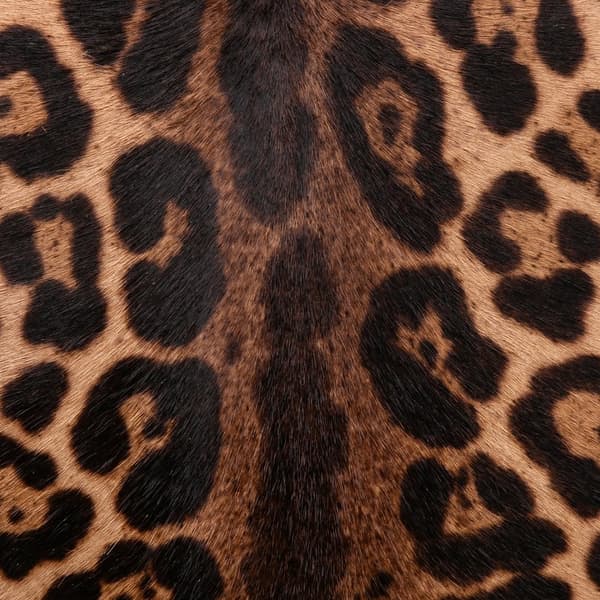Pre-owned ALAÏA Pony Hair and Leather Leopard Printed Le Hinge Tote Brown