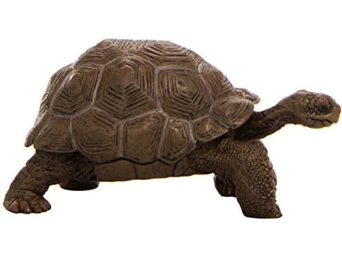 Figurka Russell Żółw z Galapagos (50161)