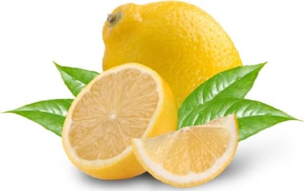 TEEKANNE GREEN TEA LEMON 3981 441