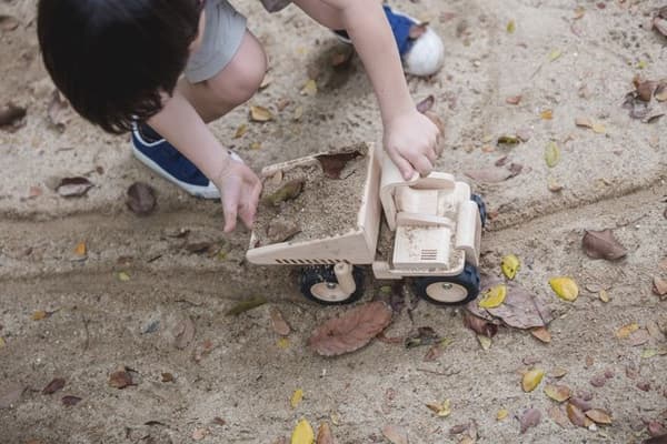 PLANLEKSAKER Naturlig trädumper