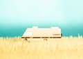 Miniatyrbild 6 av 6: Candylab Toys - Yosemite RV - DAM