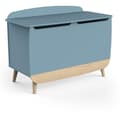 Pikkukuva 1 / 6: Leksakslåda - FIRMIANA - Skandinavisk stil - Stormblått och naturligt trä - 82,4 x 39,1 x 58,9 cm - DEMEYERE
