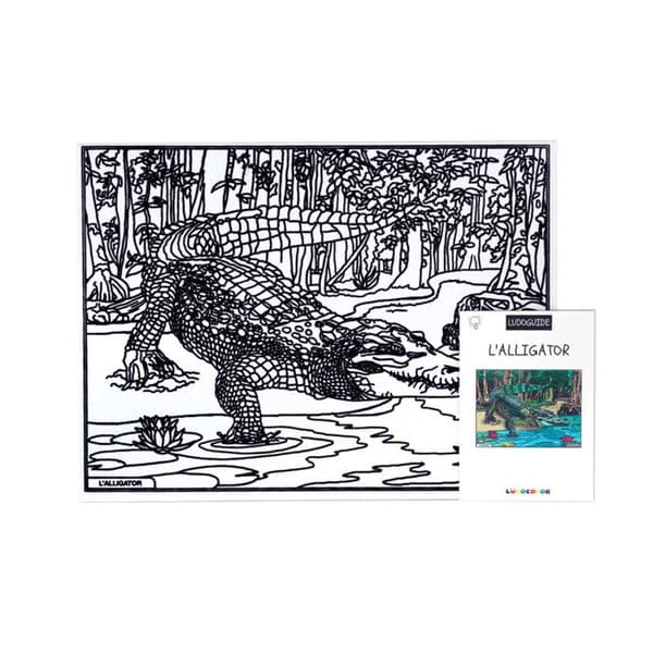 Färgläggningstavla L'Alligator