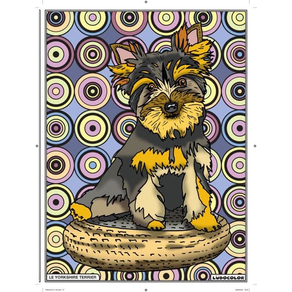 Färgläggningsplatta Yorkshire Terrier