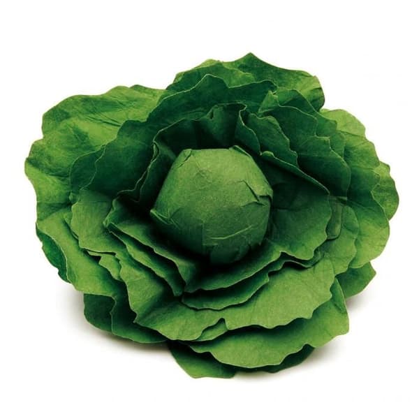 Erzi - Sallad