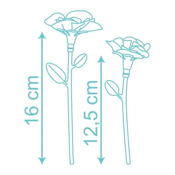 Blomset