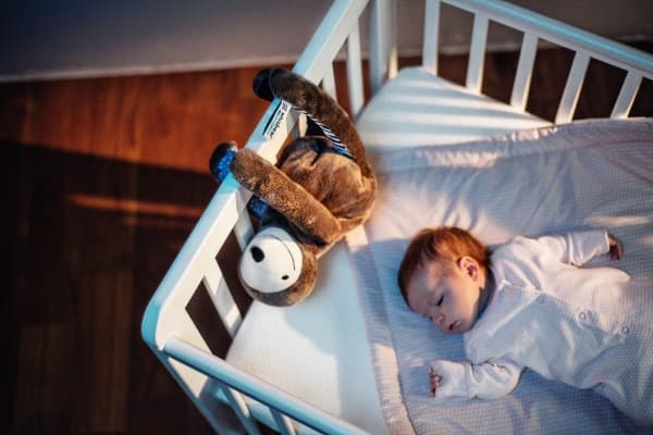 Whisbear E-zzy den summende dovendyr