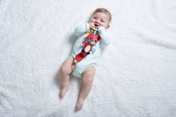 Tiny Love anheng Tiny Smarts bjelle - Christopher Fox