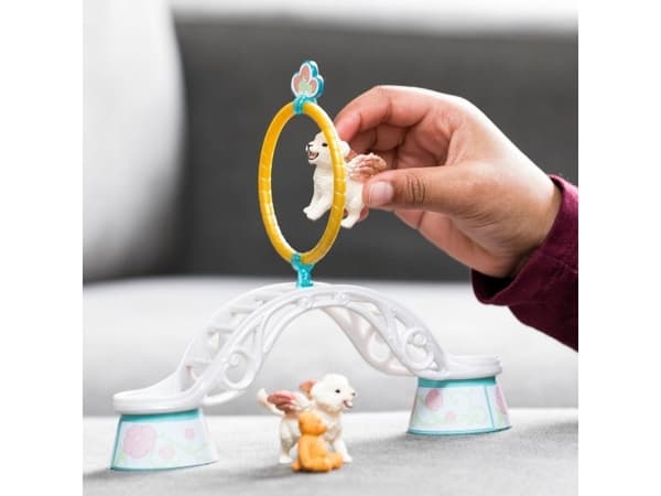 Schleich Winged Baby Lion Training