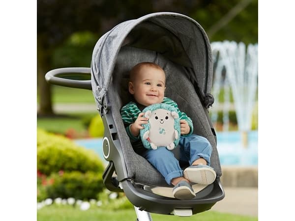 Fisher-Price -igelkottsspeldosa med lugnande vibrationer, Leksaksigelkott, 0 År, Interaktiv, Låter, AA, Batterier medföljer