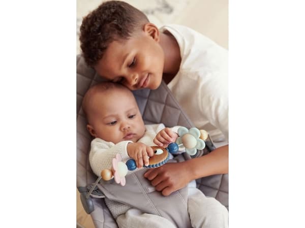 BabyBjorn 7317680805102, Lekestang, Flerfarget, Plast