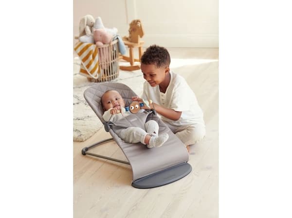 BabyBjorn 7317680805102, Lekestang, Flerfarget, Plast
