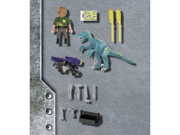 Playmobil 70629, 5 år, Flerfarget, Plast