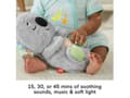 Pikkukuva 4 / 5: Fisher-Price GRT59, Lelukoala, AA, Sisältää paristot