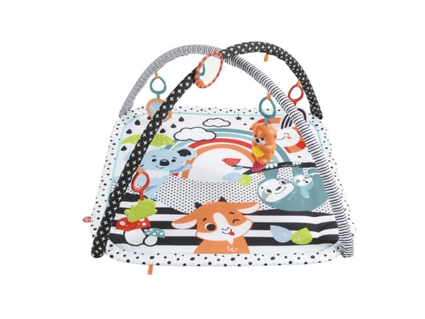 Fisher Price 3-in-1 Music Glow & Grow Gym