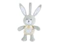 Miniatyrbild 1 av 5: Chicco First Dreams 00011129000000, Kanin, Interaktiv, Låter, AAA