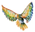 Miniatyrbild 6 av 7: Faber Castell FC-167151 Ritpenna Faber-Castell Set Pitt Artist Pen Svart och vit