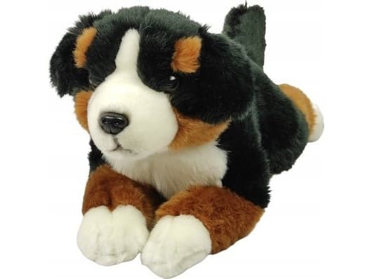 Dubi Berner Sennenhund 40cm 11653