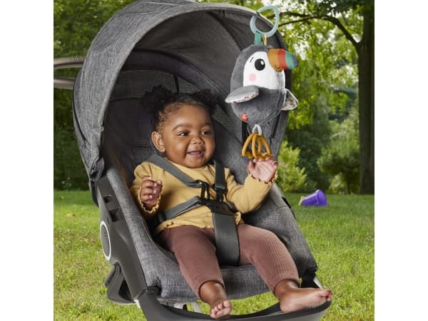 Fisher-Price Flap & Go Toucan, Leke fugl, 0 år