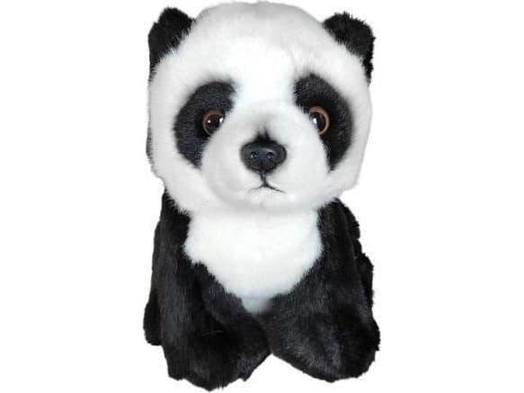 Panda 19cm SUKSESS CHAMP