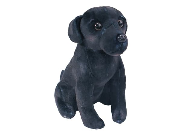 Wild Republic 27516, Leke hund, 0 år, Gir fra seg lyd