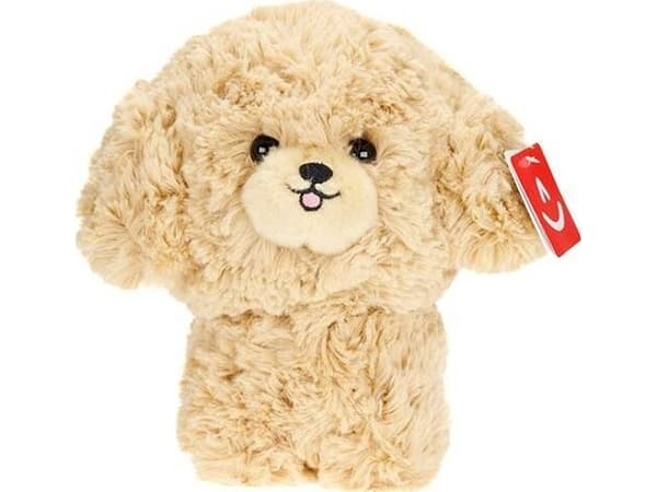 Carmotion Teddy Pets maskot, puddel, gull
