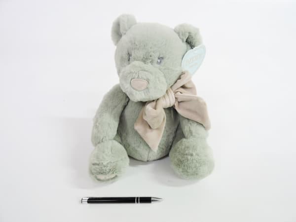 Beppe Roger Teddy Bear mint 26cm 14064 22837