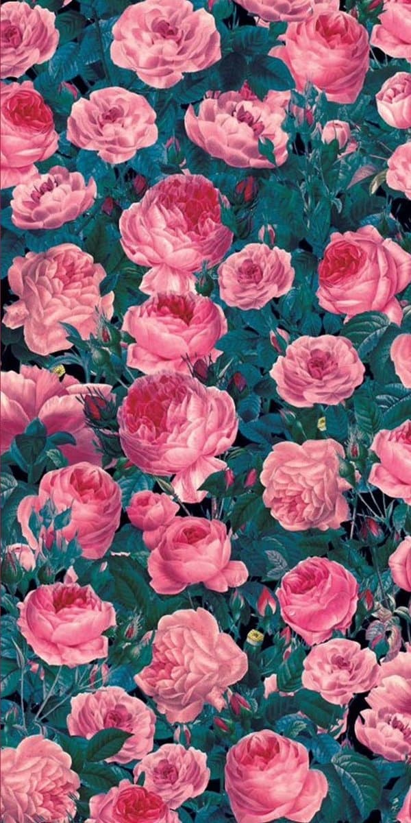 Cricut Infusible Ink Transfer Sheets 2-pack (Cabbage Rose)