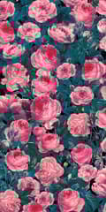 Miniatyrbild 7 av 10: Cricut Infusible Ink Transfer Sheets 2-pack (Cabbage Rose)