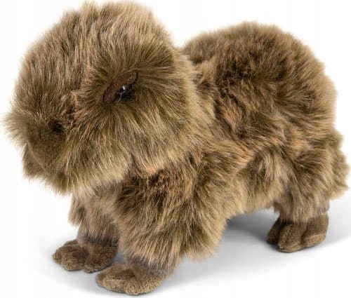 Teka Capybara