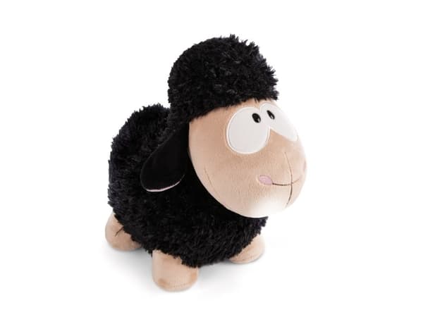 NICI 49679, Leke sau, 0 år