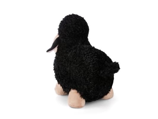 NICI 49675, Leke sau, 0 år