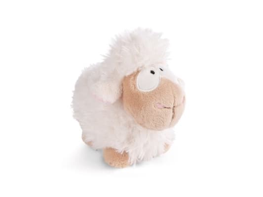 NICI 49674, Leke sau, 0 år