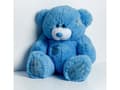 Miniatyrbilde 4 av 4: TEDDY bjørn 60 cm blå