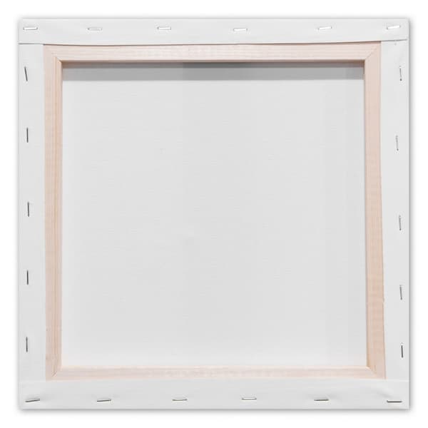Beaphar rentouttava kaulapanta koirille - 65 cm