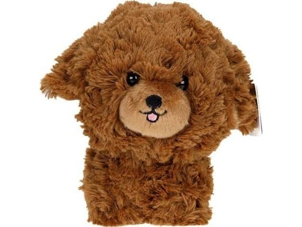 Teddy Pets Teddy pup poodle mascot T-020 00203