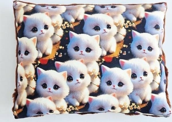 Arco Pillow Cats