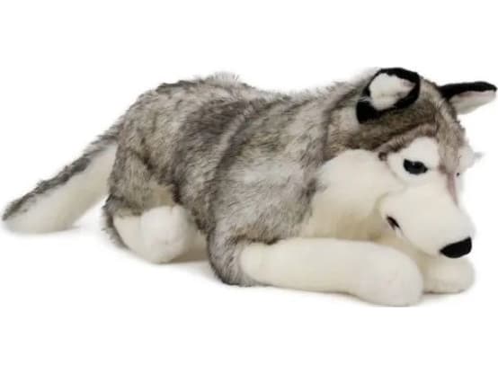 Casio Husky 71cm