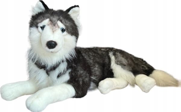 Beppe Husky leż±cy 60cm