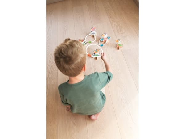 Kastspel med ringar - tukaner