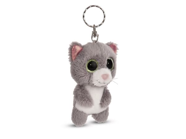 NICI 48692, Katt, 3 År