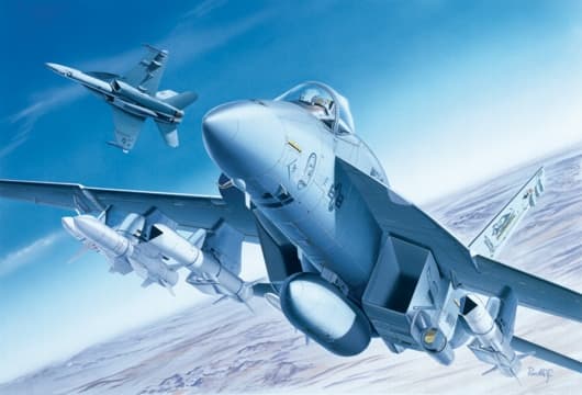 Italeri F/A - 18E Super Hornet, Monteringssæt, 1:72, F/A - 18E Super Hornet, Militærfly, Lentokonemalli, 250 mm, Lentokonemalli, 250 mm