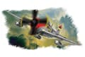 Pikkukuva 2 / 2: Hobby Boss P47D Thunderbolt 80257