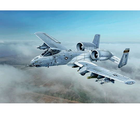 1:48 A-10C 'Blacksnakes'