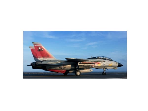Revell Modellbausatz Flugzeug 1:72 - Grumman F-14D Super Tomcat im Maßstab 1:72, Level 3, originalgetreue Nachbildung mit vielen Details, 03960, 120