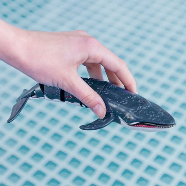Sæt Colorbaby Racing Boat Radiostyring Hval