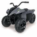 Miniatyrbillede 6 af 6: Elektrisk quad Injusa Kawasaki Grå 90,5 x 56 x 61,3 cm