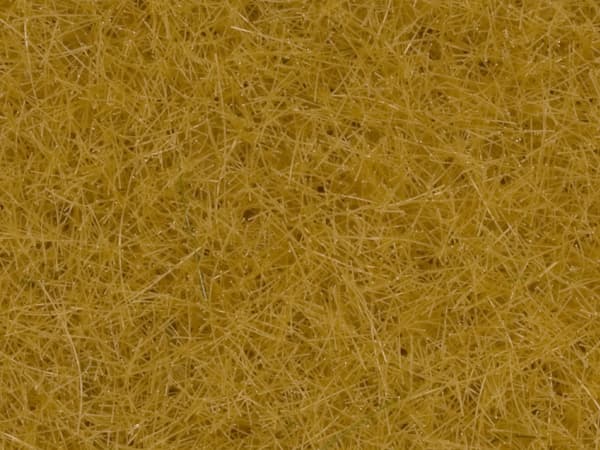 NOCH 07111, Beige