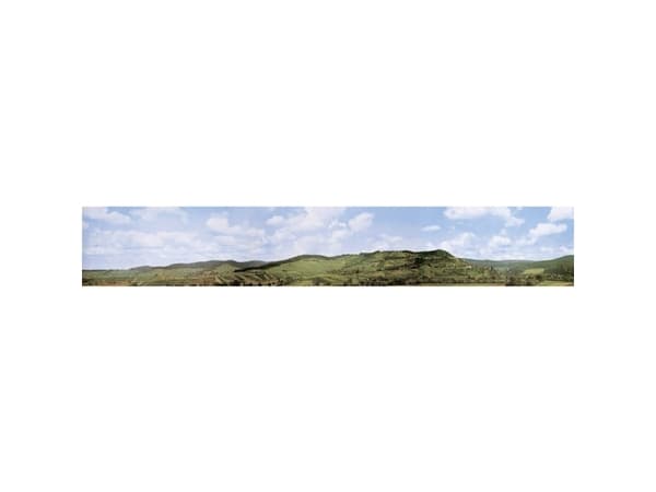 Faller 180515 H0 modell järnvägsbakgrund Löwenstein/Württemberg 2900 mm x 450 mm
