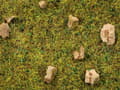 Miniatyrbilde 2 av 5: NOCH Scatter Grass “Alpine Meadow”, Grønn